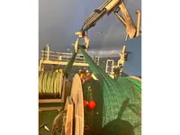 ফেরি জাহাজ বিক্রির জন্য