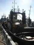 টগবোট বিক্রির জন্য