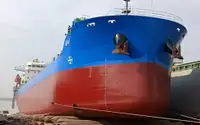 বাল্ক ক্যারিয়ার বিক্রির জন্য