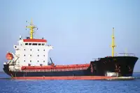 বাল্ক ক্যারিয়ার বিক্রির জন্য