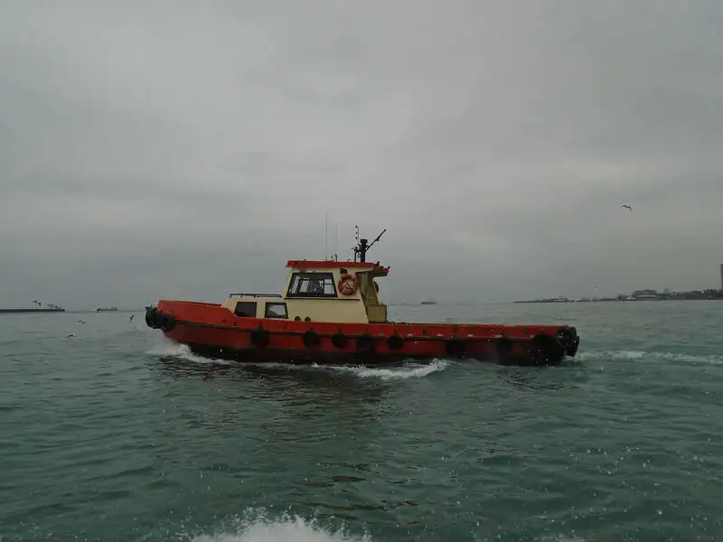 টাউবোট বিক্রির জন্য