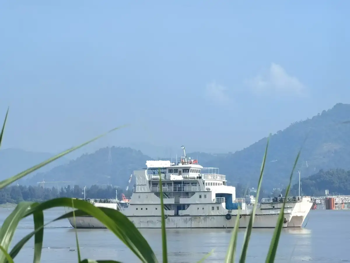 ক্যাটামারান বিক্রির জন্য