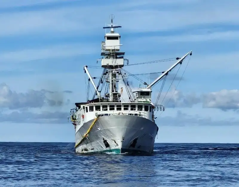 seiner বিক্রির জন্য