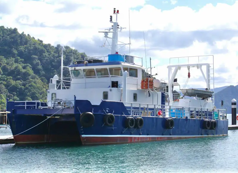 ক্যাটামারান বিক্রির জন্য