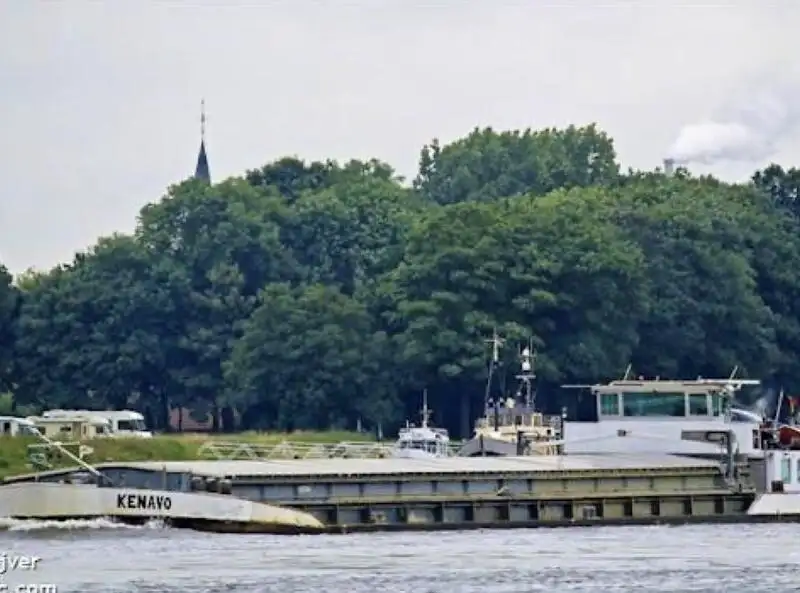 বাল্ক ক্যারিয়ার বিক্রির জন্য