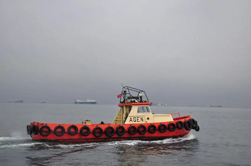 টাউবোট বিক্রির জন্য