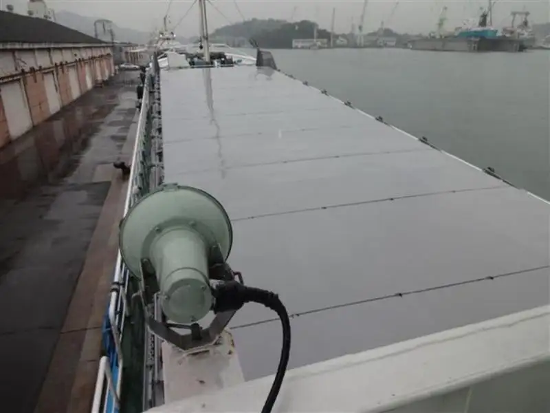বাল্ক ক্যারিয়ার বিক্রির জন্য