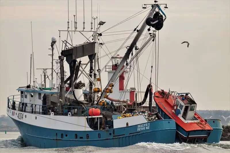 seiner বিক্রির জন্য