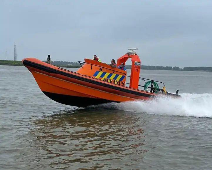 অনমনীয় inflatable নৌকা বিক্রির জন্য