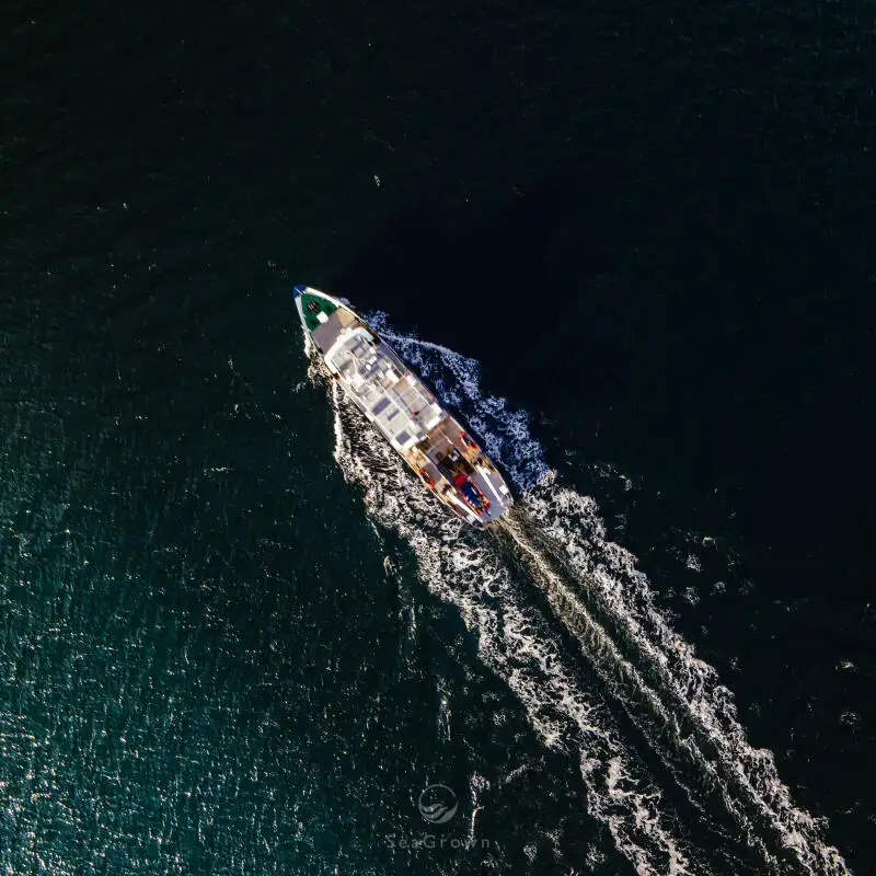 জরিপ জাহাজ বিক্রির জন্য