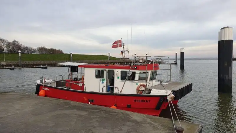 ক্যাটামারান বিক্রির জন্য