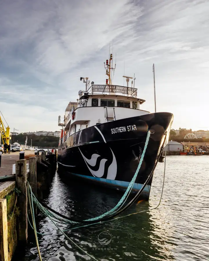 জরিপ জাহাজ বিক্রির জন্য