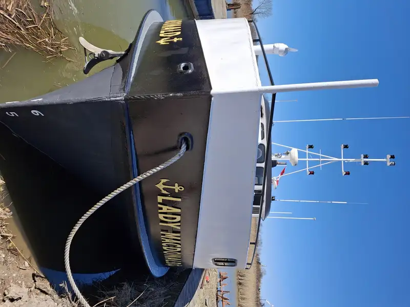 টাউবোট বিক্রির জন্য