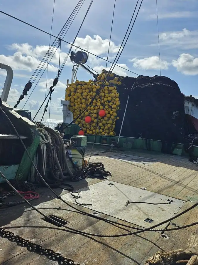 seiner বিক্রির জন্য