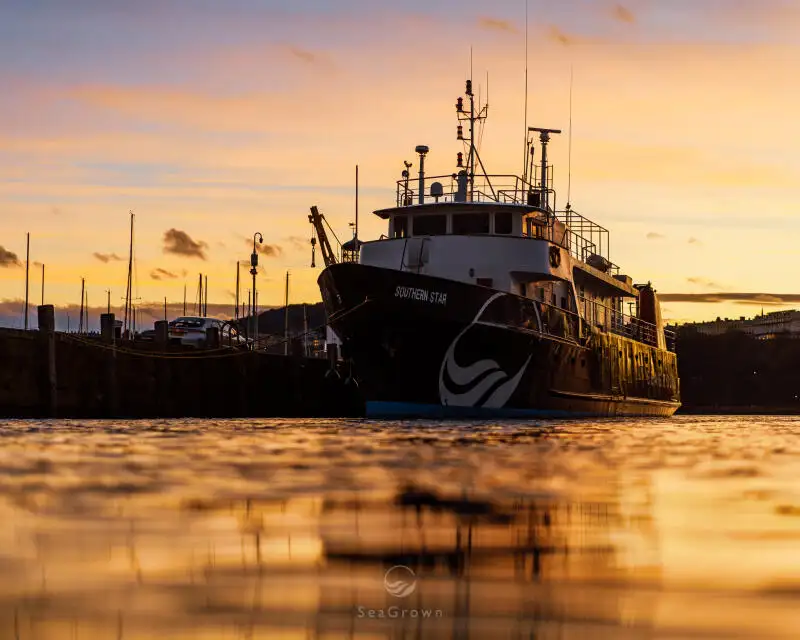 জরিপ জাহাজ বিক্রির জন্য