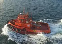 টাউবোট বিক্রির জন্য