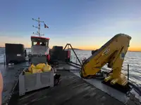 বহুমুখী বিক্রির জন্য