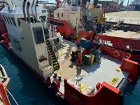 বহুমুখী বিক্রির জন্য