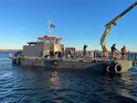 বহুমুখী বিক্রির জন্য