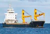 বাল্ক ক্যারিয়ার বিক্রির জন্য