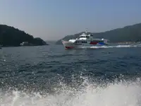 ফেরি জাহাজ বিক্রির জন্য