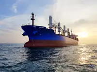 বাল্ক ক্যারিয়ার বিক্রির জন্য