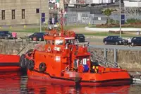 টাউবোট বিক্রির জন্য