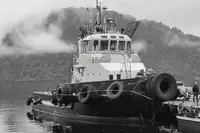 টাউবোট বিক্রির জন্য