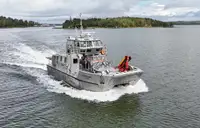 ক্যাটামারান বিক্রির জন্য