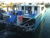 ক্যাটামারান বিক্রির জন্য