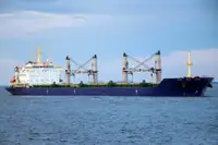 বাল্ক ক্যারিয়ার বিক্রির জন্য