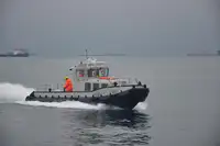 টাউবোট বিক্রির জন্য