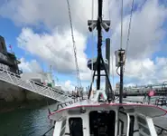 পাইলট নৌকা বিক্রির জন্য