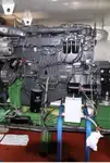 বাল্ক ক্যারিয়ার বিক্রির জন্য