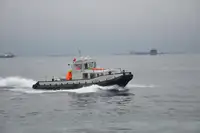 টাউবোট বিক্রির জন্য