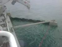 কাজের নৌকা বিক্রির জন্য