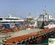 বায়ু খামার জাহাজ বিক্রির জন্য