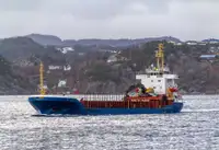 বাল্ক ক্যারিয়ার বিক্রির জন্য