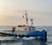 টাউবোট বিক্রির জন্য