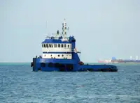 টাউবোট বিক্রির জন্য