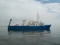 বহুমুখী বিক্রির জন্য