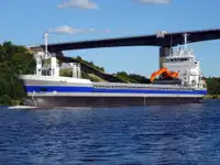 বাল্ক ক্যারিয়ার বিক্রির জন্য