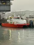 ক্যাটামারান বিক্রির জন্য