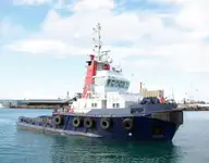 টাউবোট বিক্রির জন্য