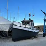 টাউবোট বিক্রির জন্য