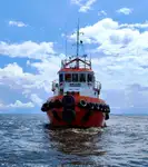 টাউবোট বিক্রির জন্য