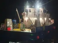 বায়ু খামার জাহাজ বিক্রির জন্য
