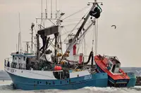 seiner বিক্রির জন্য