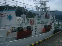 মাছ ধরার ট্রলার বিক্রির জন্য
