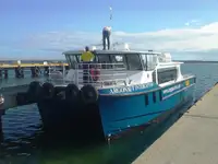 ক্যাটামারান বিক্রির জন্য